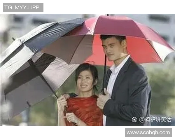 猫中姚明的传奇故事与它们在篮球世界的奇妙交集